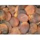 Organic Dried Apricots Turkish-1lb